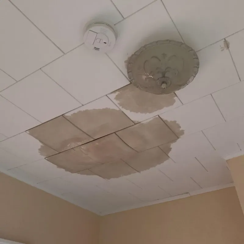 Ceiling Water Damage Repair in Waterflow, NM
