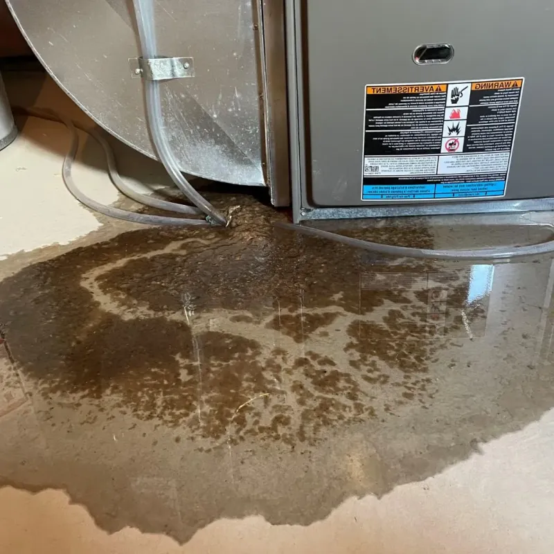 Pipe Burst and Leak Restoration in Waterflow, NM