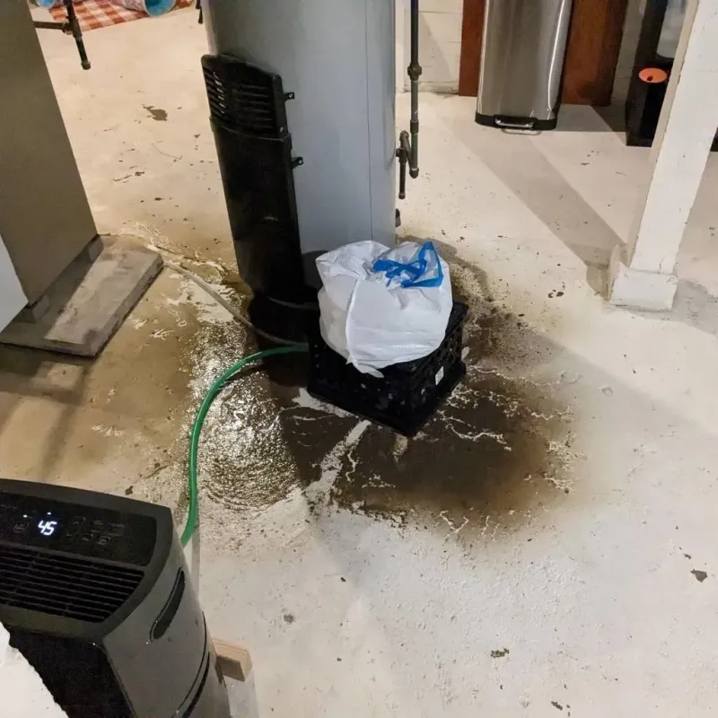 Sewage Backup Cleanup Service in Waterflow, NM